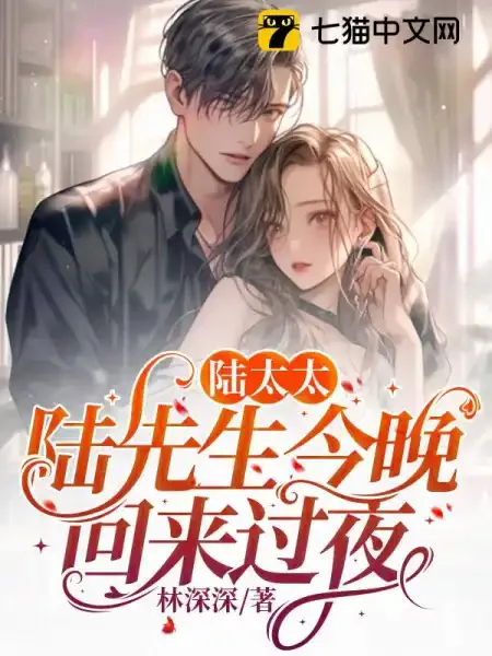 《陆太太陆先生今晚回来过夜顾南烟》小说封面