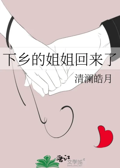 《下乡的姐姐回来了》小说封面