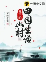 《龙王的山村田园生活》小说封面