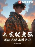 《入夜就变强,我的天赋无限进化》小说封面