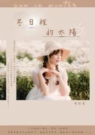 《冬日里的太阳》小说封面