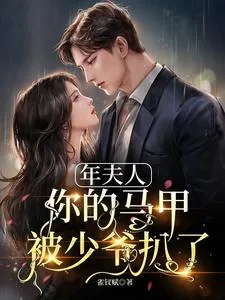 《年夫人,你的马甲被少爷扒了》小说封面