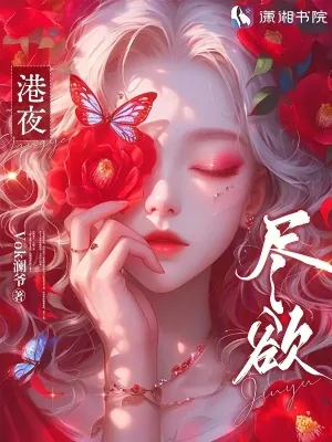 《港夜尽欲》小说封面