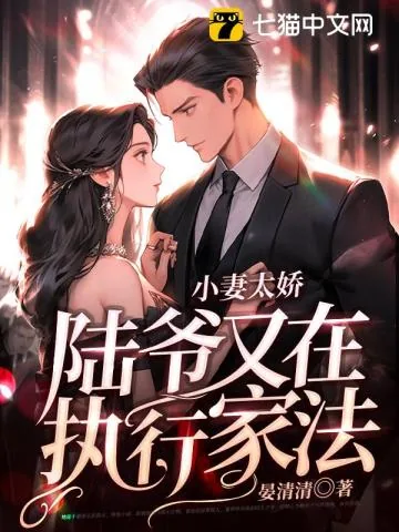 《小妻太娇,陆爷又在执行家法》小说封面