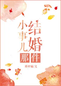 《结婚那件小事儿》小说封面