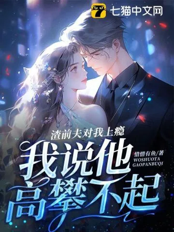 《渣前夫对我上瘾，我说他高攀不起》小说封面