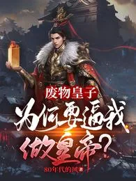 《大夏国九皇子夏天》小说封面