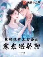 《热辣滚烫三部曲之寒光遇骄阳》小说封面