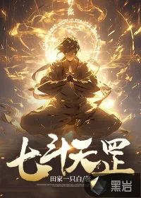 《七斗天罡》小说封面
