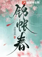 《锦帐春》小说封面