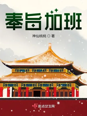 《奉旨加班》小说封面