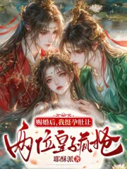 《赐婚后,我挺孕肚让两位皇子疯抢》小说封面