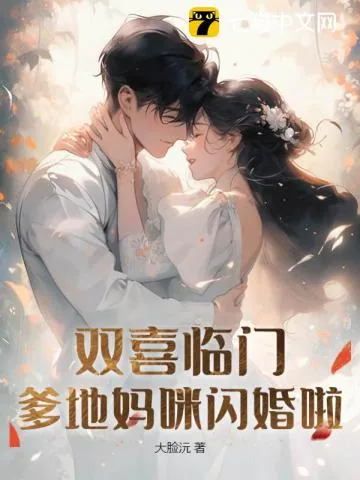 《双喜临门:爹地妈咪闪婚啦》小说封面