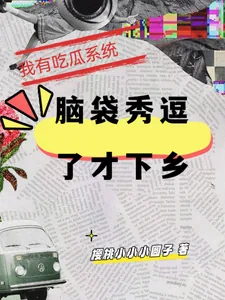 《我有吃瓜系统,脑袋秀逗了才下乡》小说封面