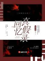 《真假回忆录》小说封面