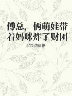 《傅总，俩萌娃带着妈咪炸了财团》小说封面