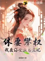 《休妻攀权？我废你全族当王妃！》小说封面