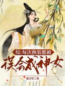 《综:每次换装都被误会成神女》小说封面