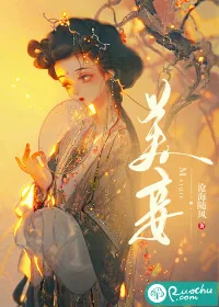 《美妾》小说封面