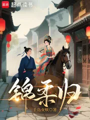 《锦柔归》小说封面
