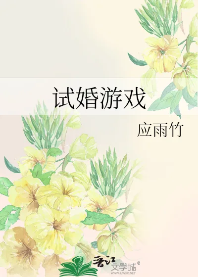 《试婚游戏》小说封面