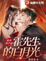 《原来我才是霍先生的白月光》小说封面