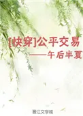 《公平交易快穿》小说封面