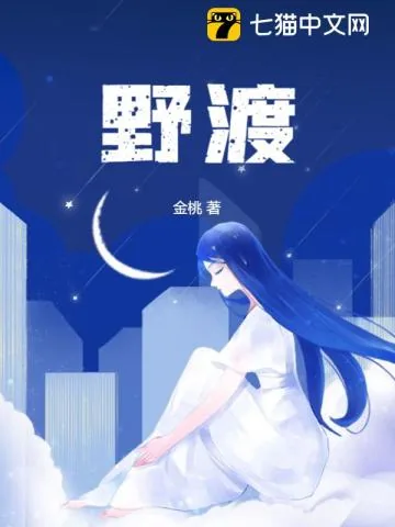 《野渡》小说封面