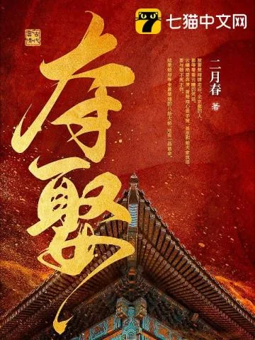 《夺娶》小说封面