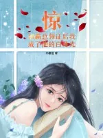《惊!和霸总领证后我成了他的白月光》小说封面