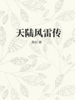 《天陆风雷传》小说封面