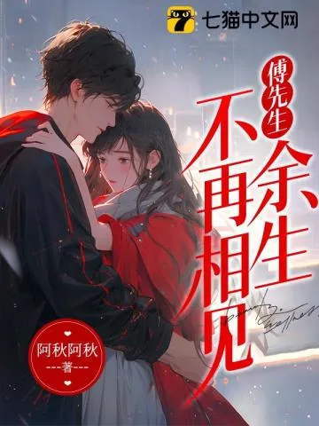 《傅先生,余生不再相见》小说封面