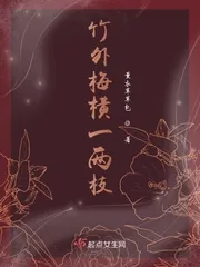 《竹外梅横一两枝》小说封面