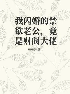《我闪婚的禁欲老公，竟是财阀大佬》小说封面