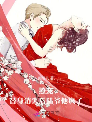 《撩宠！替身消失后陆爷他疯了》小说封面