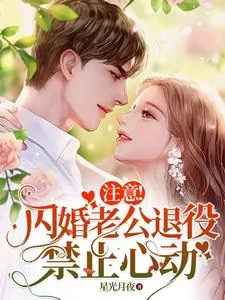《注意!闪婚老公退役,禁止心动》小说封面