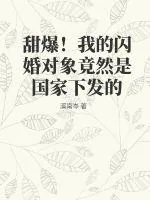 《甜爆!我的闪婚对象竟然是国家下发的》小说封面