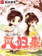 《凤归来》封面