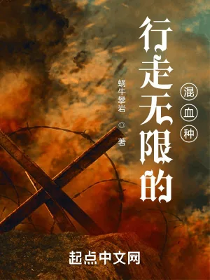 《行走无限的混血种》小说封面