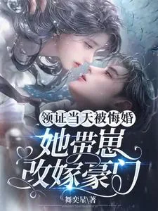 《领证当天被悔婚，她带崽改嫁豪门》小说封面