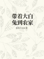 《带着大白兔到农家》小说封面
