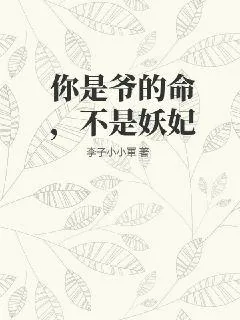 《你是爷的命,不是妖妃》小说封面