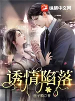 《诱情陷落》小说封面