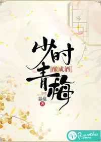 《少时青梅，酿成酒》小说封面