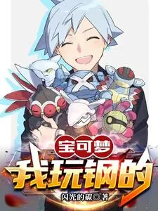 《宝可梦：我玩钢的》小说封面