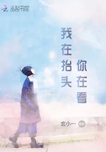 《我在抬头你在看》小说封面