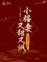 《病弱世子的小福妻又甜又飒》小说封面