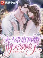 《夫人带崽再婚前夫别嚎了》小说封面