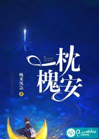 《一枕槐安》小说封面