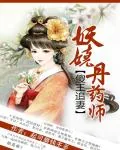 《妖娆丹药师:傻王追妻》小说封面